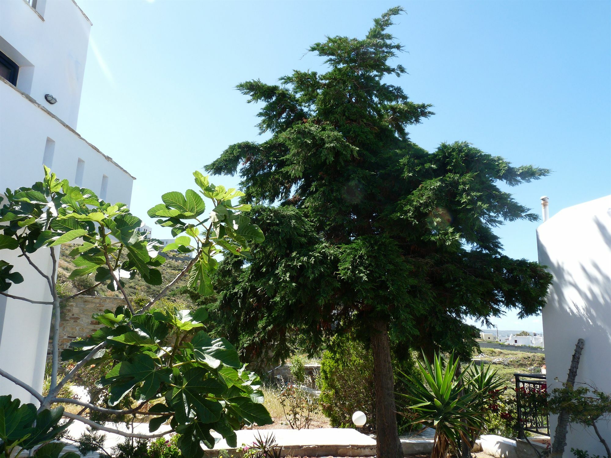Paradisia Villas Naxos City Extérieur photo